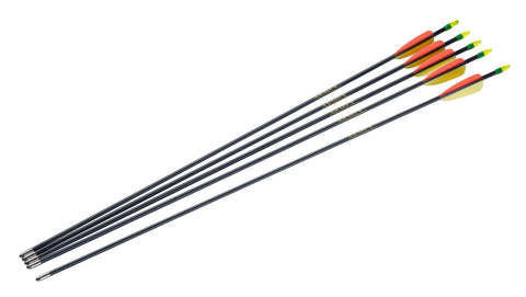 SET 5 SAGETI (FIBRA STICLA) PT.ARC 66CM UMAREX