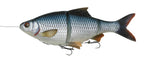 SHAD 4D LINE THRU ROACH 18CM/80G SS ROACH