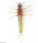 XX NALUCA SAVAGE MAYFLY NYMPH 5CM/2,5G 02