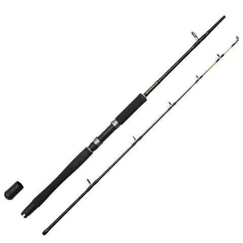 2BUC.HARD CORE VOL.3 BOAT ROD 2,10M/20-30lbs