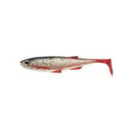 SHAD D.FIN LIVE 15CM LIVE ROACH/2BUC