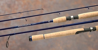 XX LANS.2BUC.DAIWA TIERRA MH 1,80M/7.28G